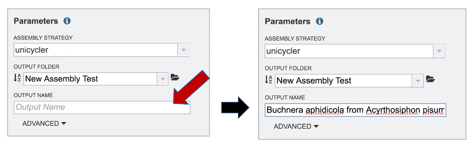 Figure 29