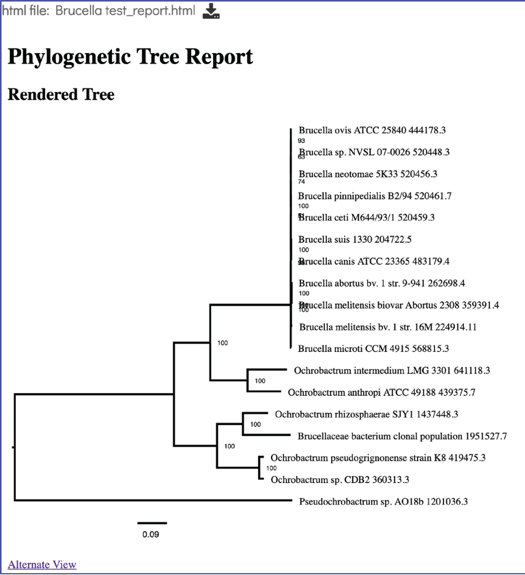 Figure 52