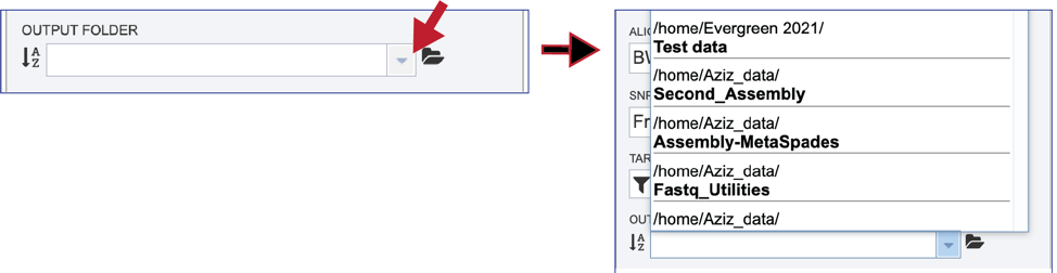 Figure 9