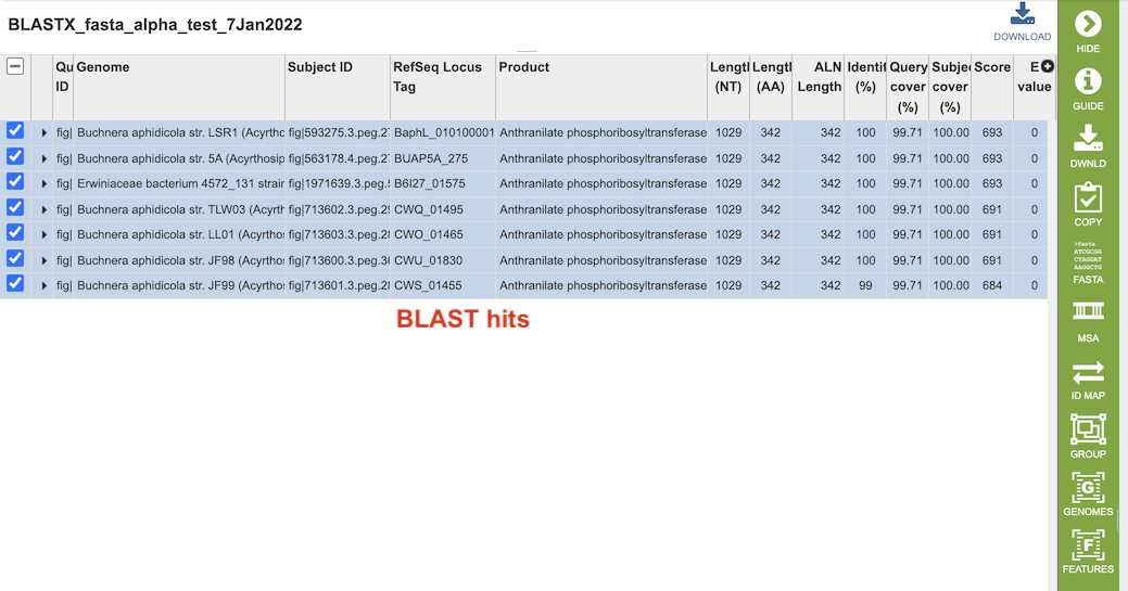 BLAST Service Results