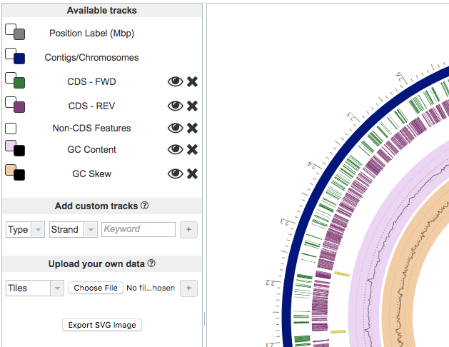 Circular Genome Viewer Tracks