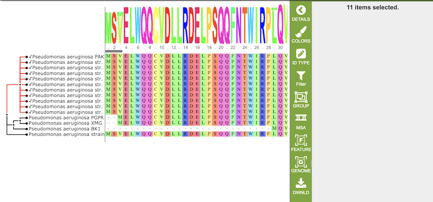 MSA Viewer - Select Branch Node