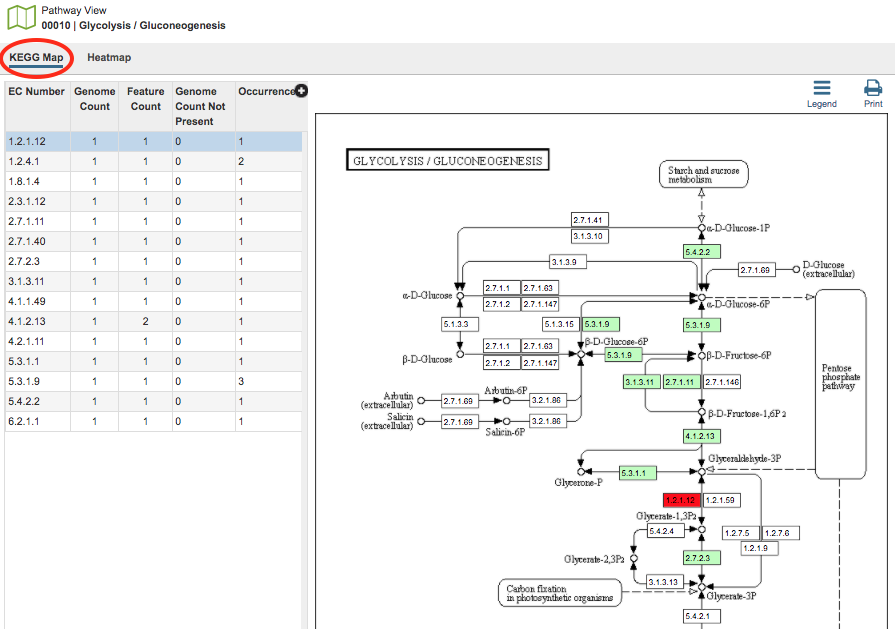 Pathway View - KEGG Map