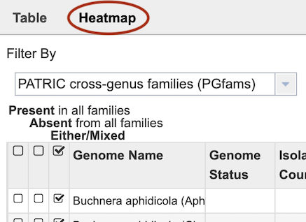 Heatmap Option