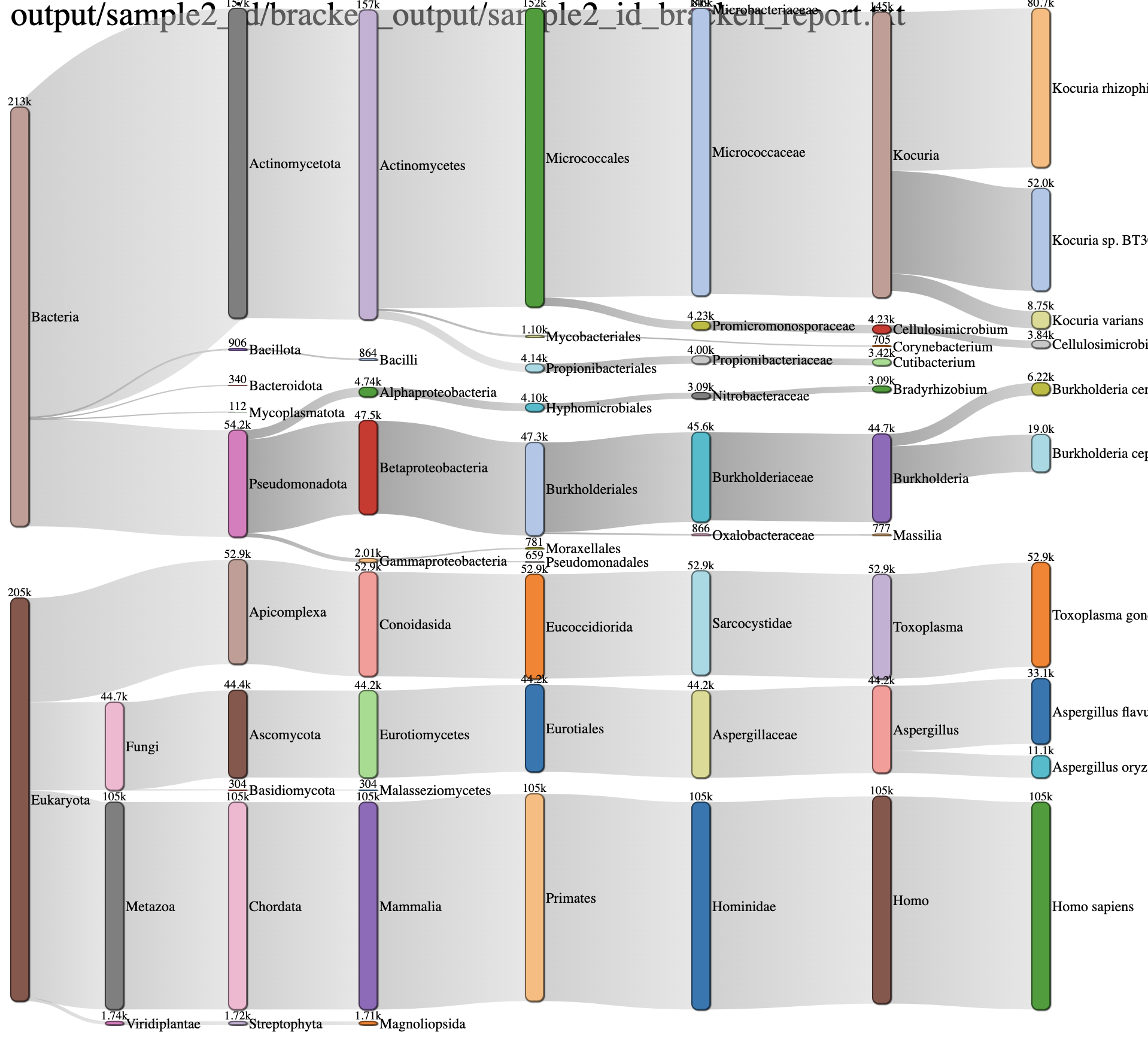 Example Sankey Diagram