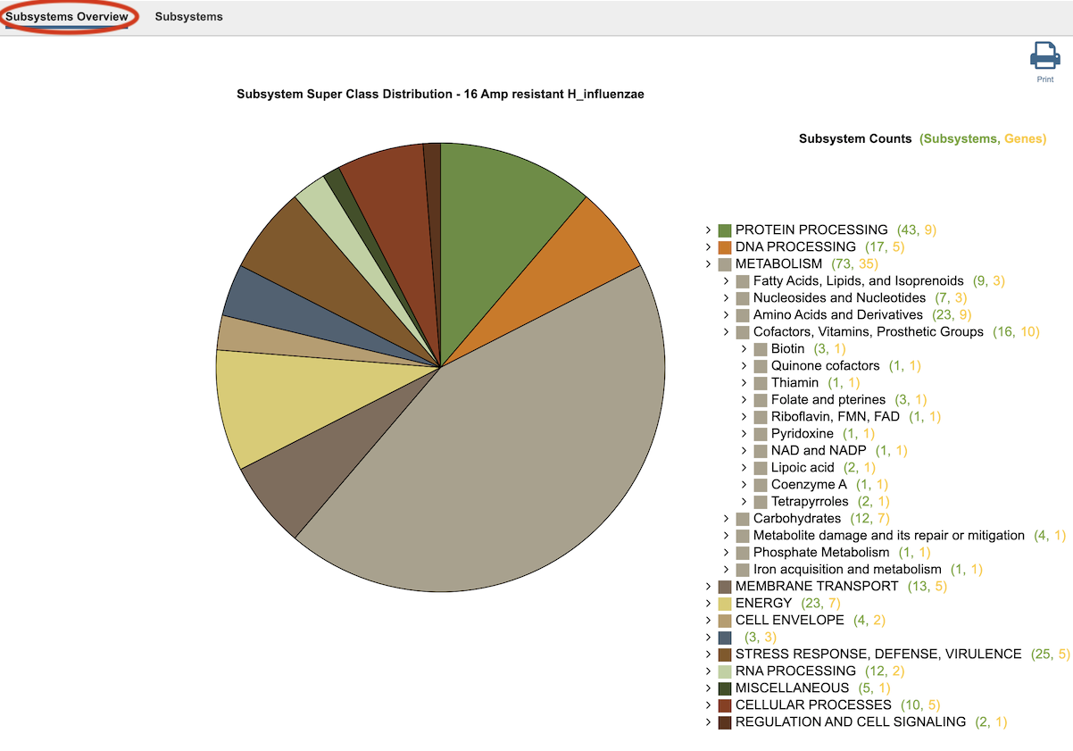 Subsystems Tab - Overview