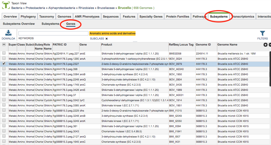 Subsystems Tab - Genes
