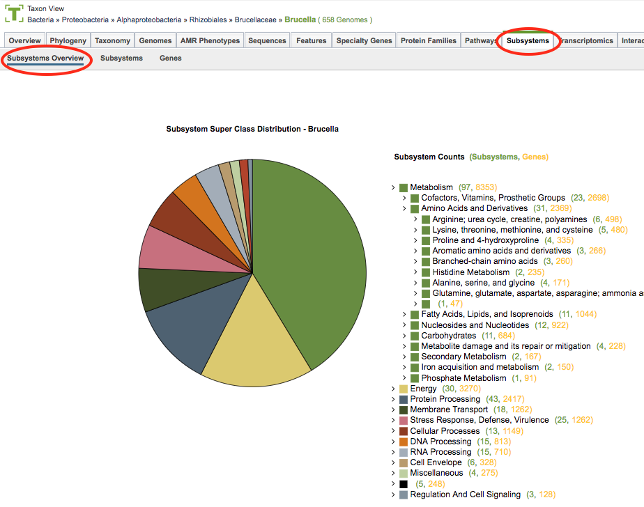 Subsystems Tab - Overview